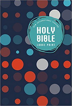 Image of NIV Outreach Bible For Kids/Large Print-Softcover