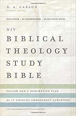 Image of NIV, Biblical Theology Study Bible, Hardcover, Comfort Print
