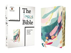 Image of NIV The Jesus Bible Artist Edition, Leathersoft, Multi-color/Teal, Thumb Indexed