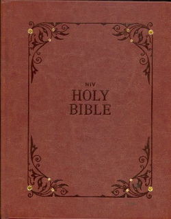 Image of NIV Our Family Story Bible