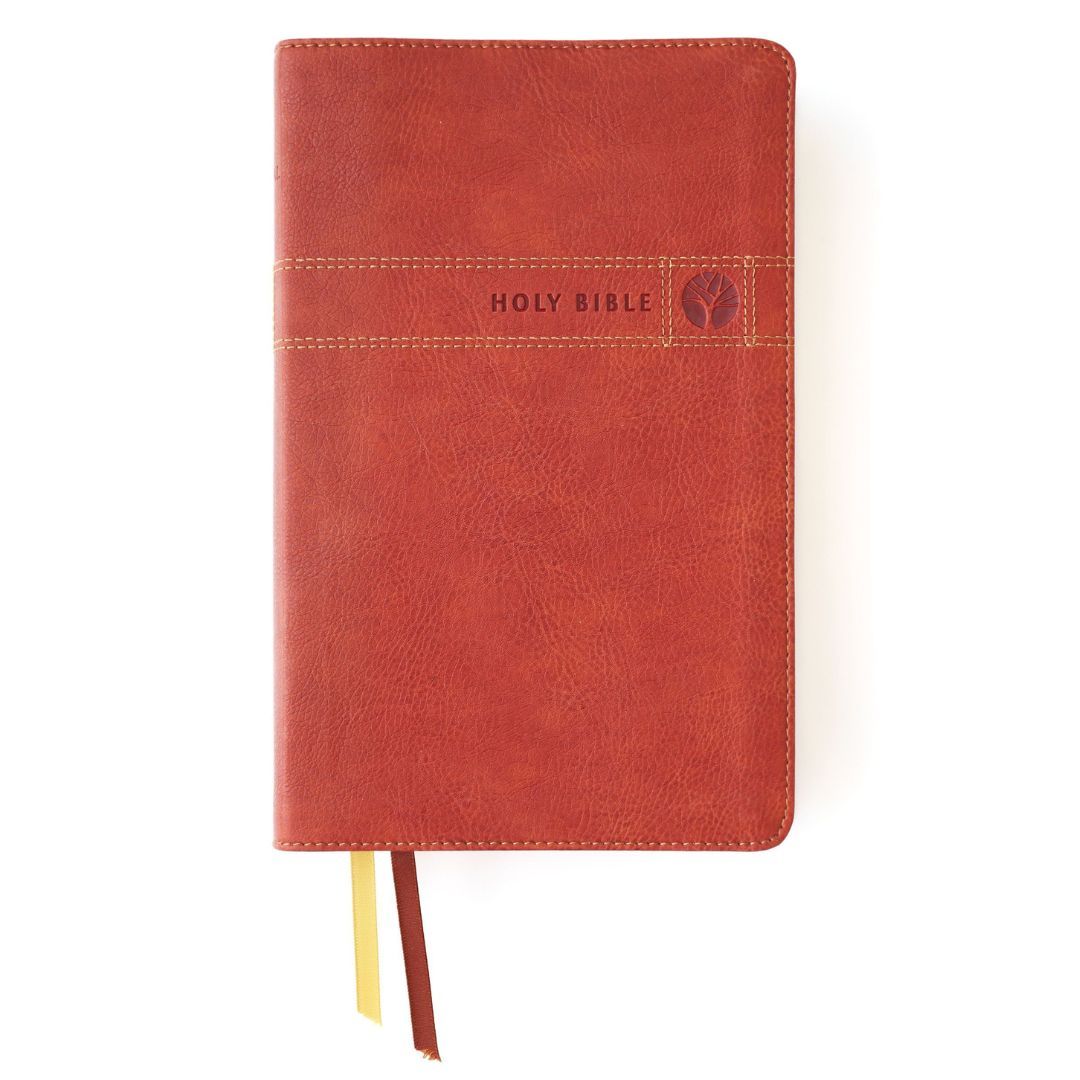 Image of NIV Men’s Devotional Bible, Leathersoft Brown
