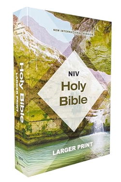 Image of NIV Larger Print, Economy Edition, Paperback, Teal/Tan, Comfort Print