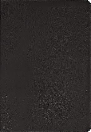Image of NIV Application Bible, Large Print, European Bonded Leather, Black, Indexed