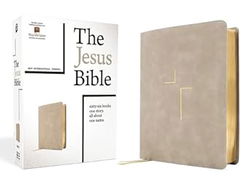 Image of NIV The Jesus Bible Leathersoft, Stone