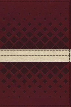 Image of NKJV, Unapologetic Study Bible Red/Tan