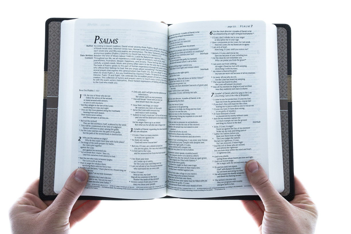 212-0003 Product Image 3