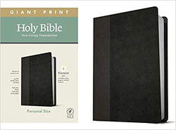 Image of NLT Personal Size Giant Print Bible, Filament Enabled Edition -Red Letter,