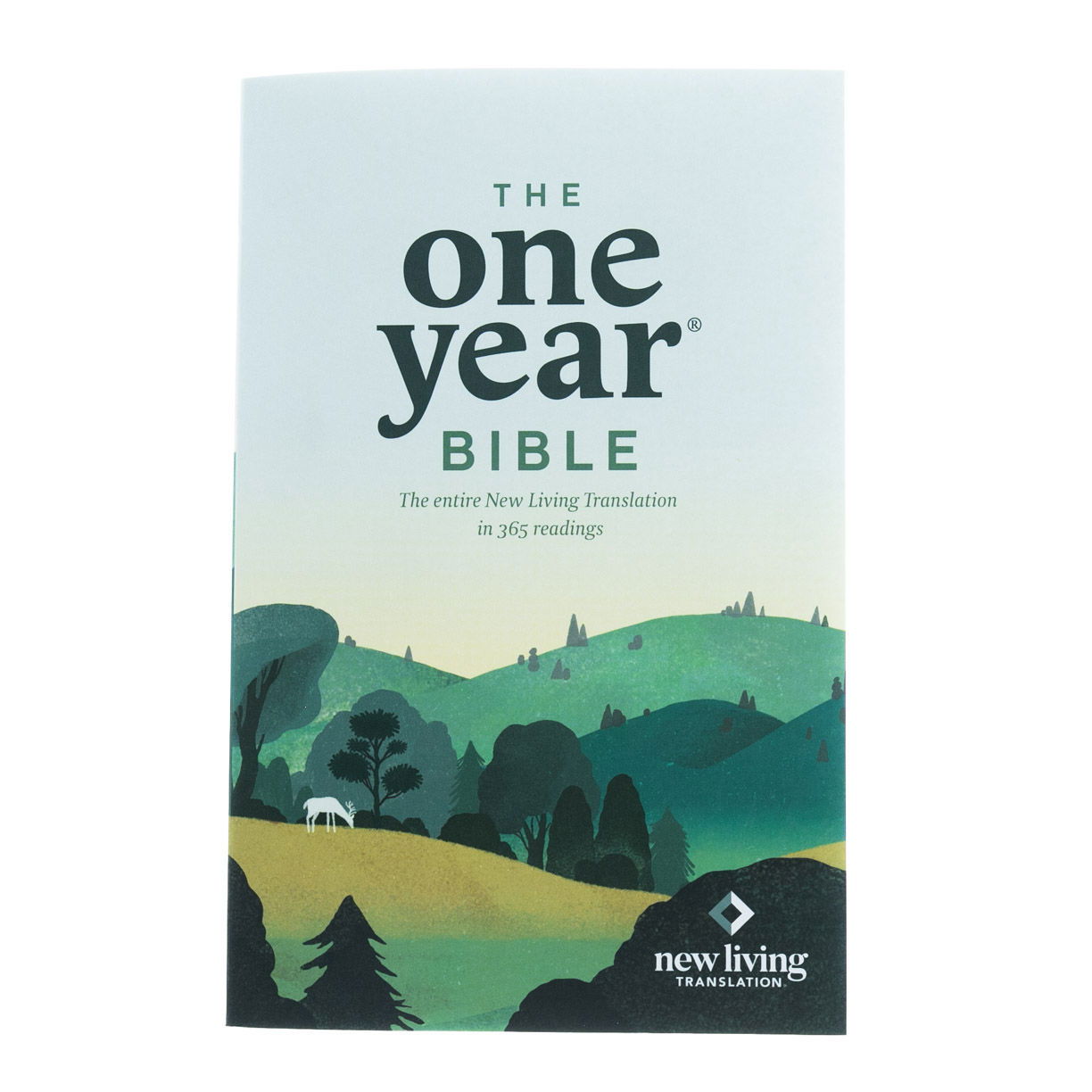 Product 212-0156 - View 2 212-0156 Product Image 2