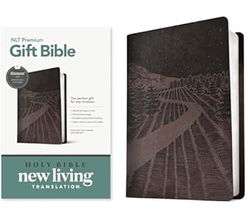 Image of NLT Premium Gift Bible, Starlight Path Brown