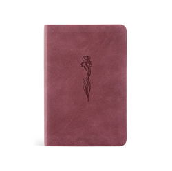 Image of NLT Compact Bible: Helena Theme