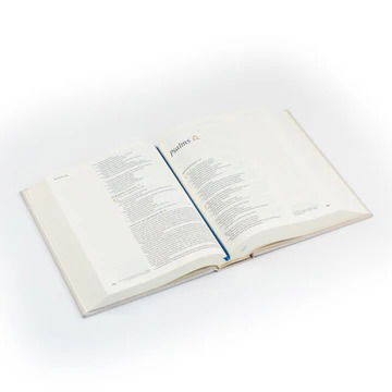 Product 212-0280 - View 6 212-0280 Product Image 6