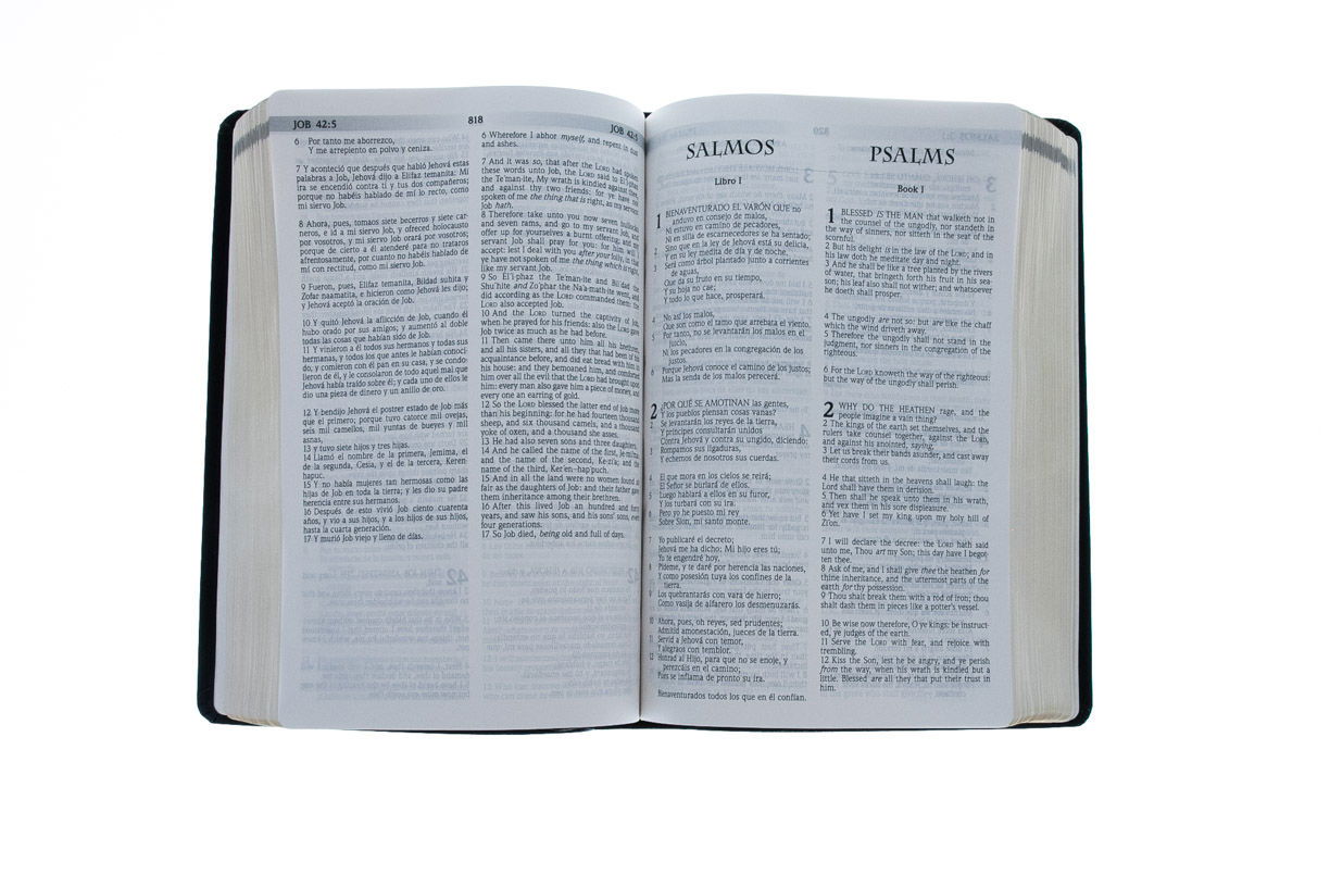 Product 216-0003 - View 4 216-0003 Product Image 4