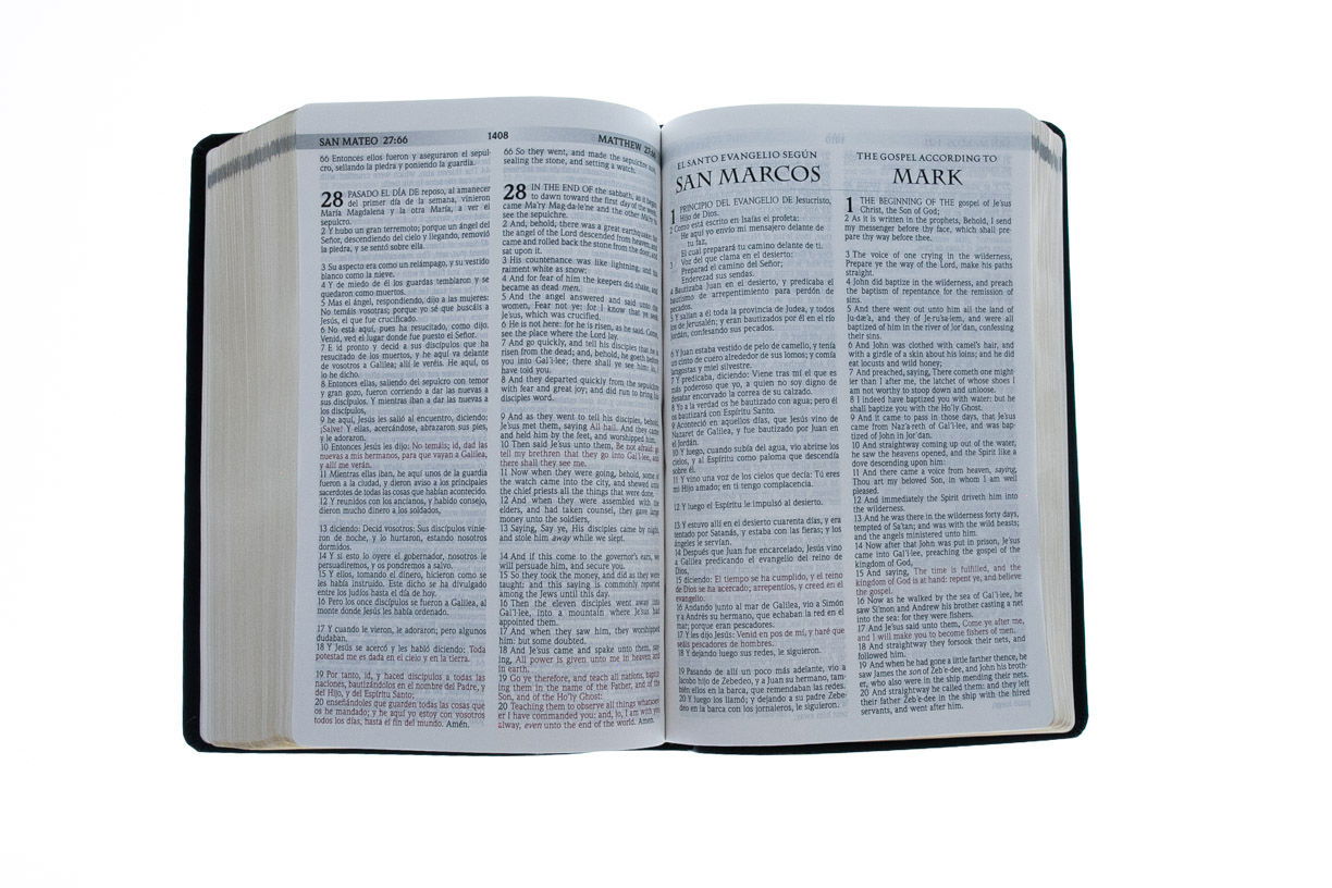 Product 216-0003 - View 5 216-0003 Product Image 5