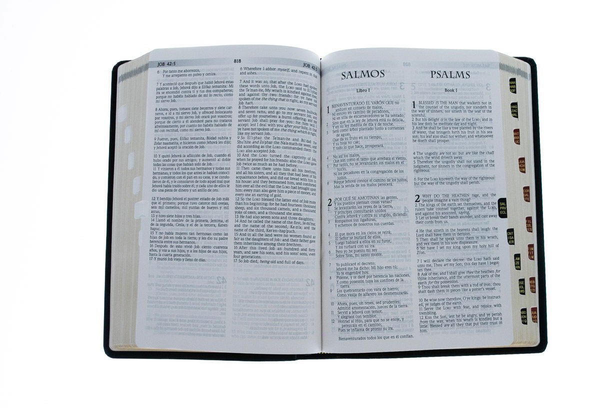 Product 216-0004 - View 4 216-0004 Product Image 4