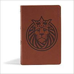 Image of CSB Kids Bible, Lion LeatherTouch Imitation Leather