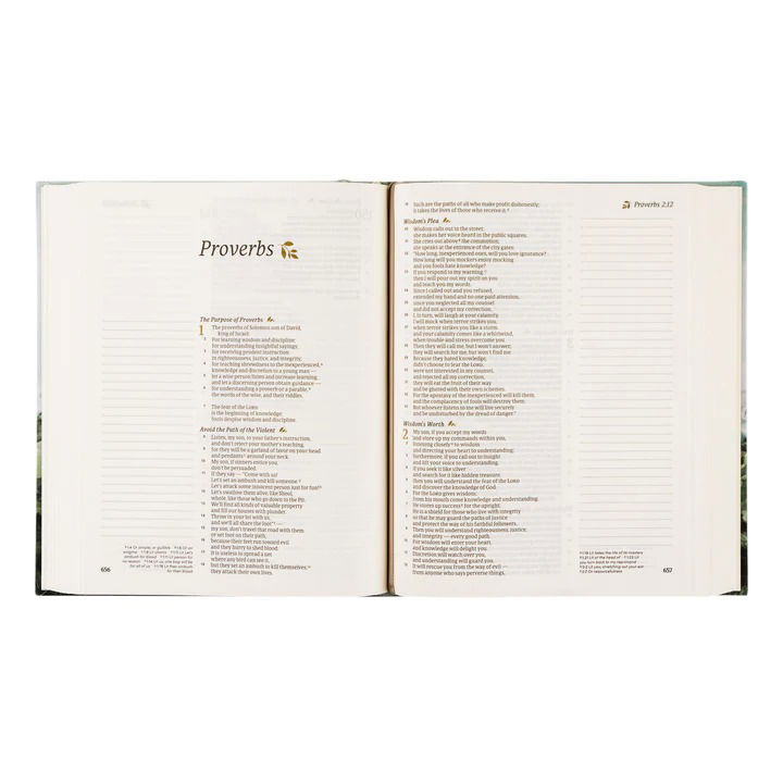 Product 226-0139 - View 5 226-0139 Product Image 5