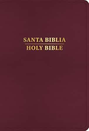 Image of RVR 1960/KJV Biblia Bilingüe Burgundy Imitation Leather