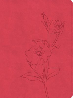 Image of CSB Women’s Bible, Coral LeatherTouch