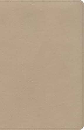 Image of CSB Large Print Personal Size Reference Bible, Gold Leathertouch