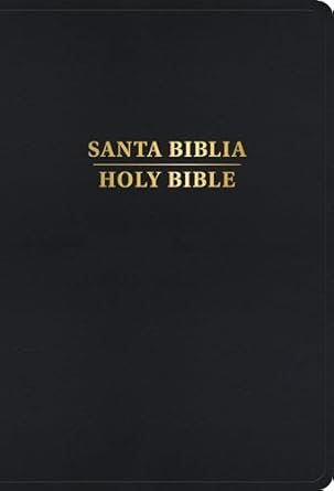 Image of RVR 1960/KJV Large Print Bilingual Bible Black Imitation Leather