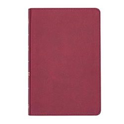 Image of CSB Thinline Reference Bible, Cranberry Leathertouch