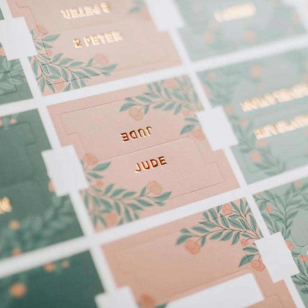 250-1019 Product Image 3