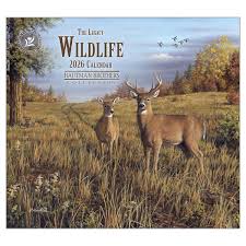 Image of 2026 Wall Calendar Wild Life
