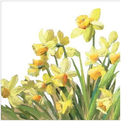 Image of Napkin Cocktail – Golden Daffodills