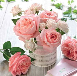 Image of Napkin Cocktail – Music Roses