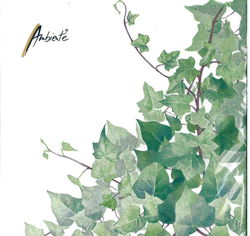 Image of Hedera White Napkin Luncheon