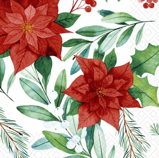 365-0192 Product Image 1