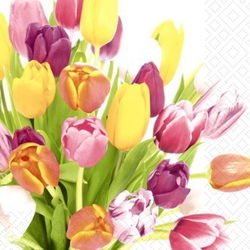 Image of Beautiful Tulips – Luncheon Napkin