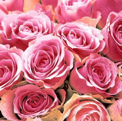 Image of Pink Roses – Luncheon Napkin