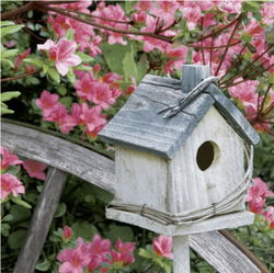 Image of Spring Birdhouse – Luncheon Napkin