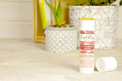 Image of All Purpose Salve 0.5 oz. Stick