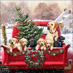 Image of Napkin Cocktail Family Trip