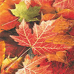 Image of Napkin Luncheon Maple Leaves