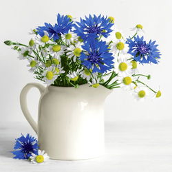 Image of Napkins Summer Bouquet 20 Pk