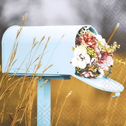 Image of Napkins For You 20 Pk