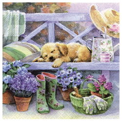 Image of Napkin Luncheon Gardening Break