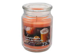 Image of Pumpkin Spice Candle – 18 oz
