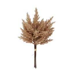 Image of Bunch Pampas