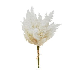 Image of Reed Branch