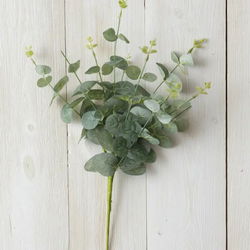 Image of Pick – Eucalyptus