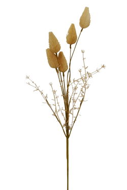 Image of Pom Poms Beige Branch