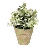 Image of White Leaf Greenery in Distressed Pot