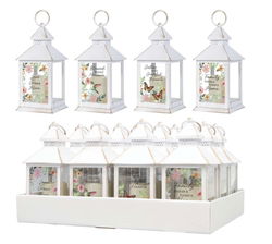 Image of Lantern-Every Day Assorted (Sold Invidually)