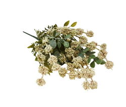 Image of Bunch Grass Camel