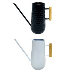 Image of 2 Asst Watering Can