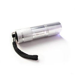 Image of LED Flashlight, Silver, Rejoice in the Lord, Phil 4:4